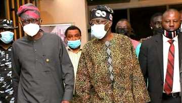 London medical trip: I am happy to be back home, says Bola Tinubu