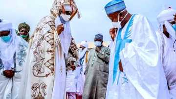 Babu wata nesanta: Hotunan yadda aka gudanar da Sallar Idi a Kano