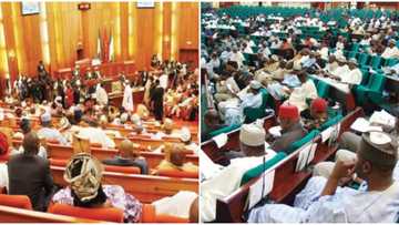 2023 Polls: APC snags all Lagos Senate seats, dominates House of Reps, full list emerges