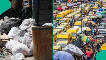 Hours after search announcement, Lagos authorities confirm arrest of waste offender