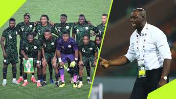 Three Reasons why Eguavoen should resign as Super Eagles coach despite qualifying for AFCON