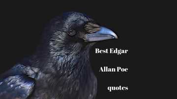 30 Edgar Allan Poe quotes to impress you