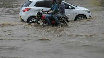 Kenya's economy faces climate change risks: World Bank