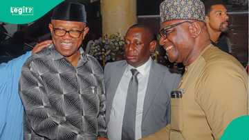 Tinubu's aide Onanuga meets Peter Obi in Lagos: "Don't die"