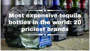 Most expensive tequila bottles in the world: 20 priciest brands