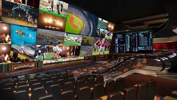 BetB2B: Trends in the development of betting companies in 2024 perspectives