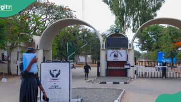 Bauchi polytechnic shutdown indefinitely after students' hostel robbery protest turn violent
