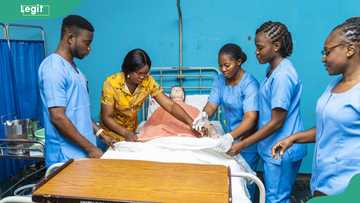 Best universities to study nursing in Nigeria: fees, cut-off marks, and everything you need to know