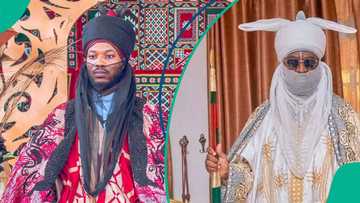 Yaron Sanusi II ya amsa Nuhu Ribadu da NSA ya kira Aminu Ado Bayero Sarkin Kano