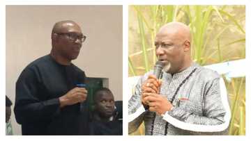 Dino Melaye reveals 1 thing Nigeria needs as he tells Peter Obi when to contest for president