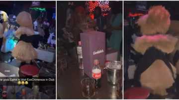The gods are high: Two masquerades thrill guests with sweet body moves in video as they appear at nightclub