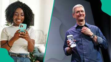 Apple CEO Tim Cook warns users to cut down on time spent using iPhones, other smartphones