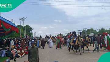 Ranar Hausa: Abubuwan da ya kamata ku sani yayin da bikin 2025 ya kankama a Daura