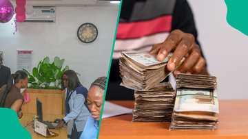 Top 10 microfinance banks in Nigeria: Best options for loans, savings, SME capital