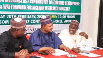 Senator Uba Sani warns against de-marketing of Nigeria’s economy