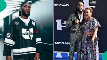 "I'm worth more than $22m": Burna Boy opens up about his net worth, fans react to the viral video