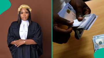 "Save this": Lawyer shares 5 ways Nigerians can fight loan apps back, points out what the law says