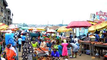 Jihohin da kayan abinci suka yi tashin gwauron zabo a Nigeria