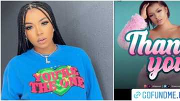 This is greed after N20m: Reactions as Liquorose fans set up GoFundMe page to raise BBNaija grand prize