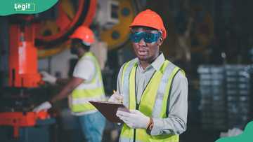 Chemical Engineering in Nigeria — How do you become a chemical engineer and where can you work?