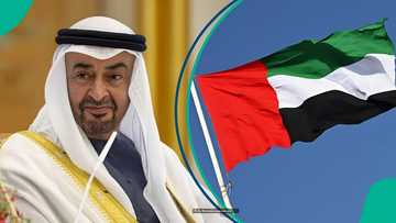 UAE announces 2 documents outstanding students need to qualify for Golden Visa