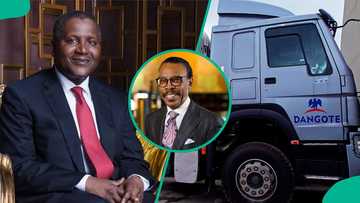 Bismarck Rewane highlights how Dangote's N720bn initiative will lower inflation, boost economy