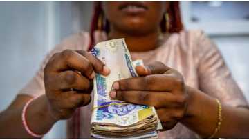 CBN threatens to make Nigerians face six months jail term for defacing Naira