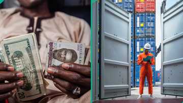 CBN announces new dollar customs exchange rate for importers to clear goods as naira appreciates