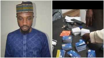 Barely few hours after arresting 3 smugglers, EFCC nabs another fraudster with 576 ATM cards at Kano Airport