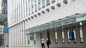 OPEC+ likely to maintain current output levels