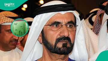 Top 10 most powerful passports in 2026 as UAE takes number one spot