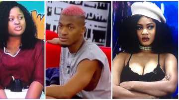 "Groovy na national cake": Reactions as BBNaija Amaka and Phyna fight over cleaning space