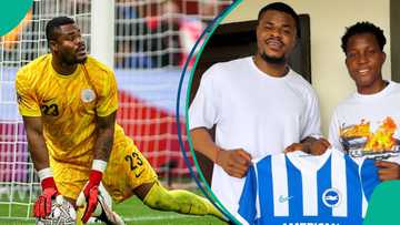 Chiamaka Nnadozie teases Brighton transfer for Super Eagles goalie Stanley Nwabali, video