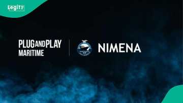 Plug and Play, NIMENA Launch GOAL Accelerator for Nigerian Heritage Startups