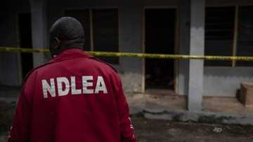 No escape route: Drama as NDLEA operatives storm church to arrest wanted drug dealer