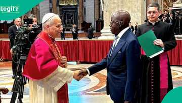 Tinubu ya jawo magana wajen babban Kirista kan ganawa da Fafaroma Leo