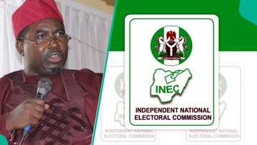 INEC recruitment: FG issues important notice to all applicants, "Avoid this website now"