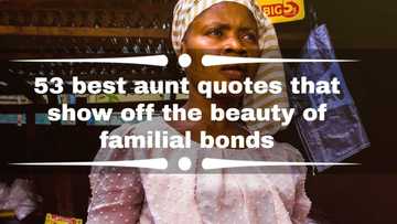 53 best aunt quotes that show off the beauty of familial bonds