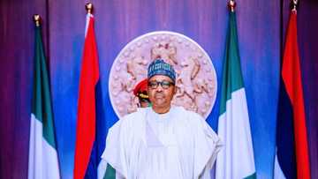 Yan Najeriya sun san mun yi iyakan kokarinmu kan tsaro - Buhari