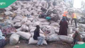Boxing Day tragedy: 4 dead, 59 injured on Kaduna-Abuja expressway