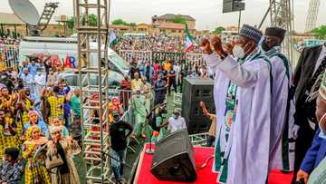 Kano 2023: List of governorship aspirants emerges as Ganduje reveals how his successor will emerge