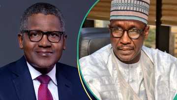 FG explains why it will not fix crude oil price, speaks on NNPC, Dangote not supplying enough fuel