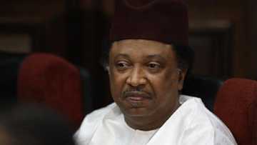 Shehu Sani ya yi wa Buratai 'wankin babban bargo' a kan wa'adin da ya bai wa Boko Haram