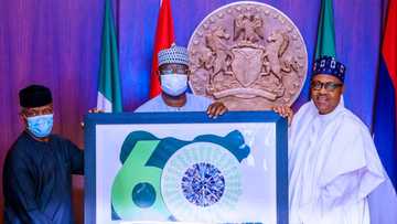 Nigeria@60: Babu kasar da ta kai Najeriya cigaba a nahiyar Afrika - Buhari