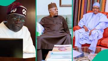 Muhammadu Buhari: Shettima makes fresh revelation about Tinubu