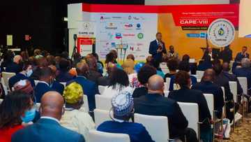 Oil & Gas: Stakeholders advocate for home-grown technology solution