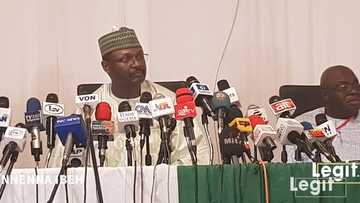 2023 elections: Political scientist sends crucial message to FG, INEC