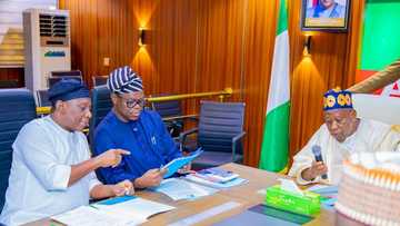 Ganduje Ya Gyara Zama a Kujerar APC, Ya Yi Nadin Mukamin Farko a Jam’iyya