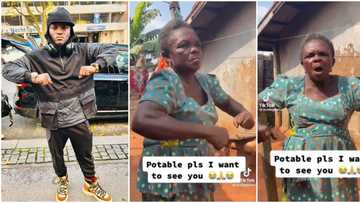 "They lookalike": Netizens react as Mama Portable emerges online, raises her shoulders like the Zazu singer