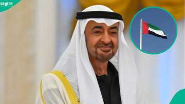 UAE publishes 6 steps foreigners must follow to apply for residency permit
